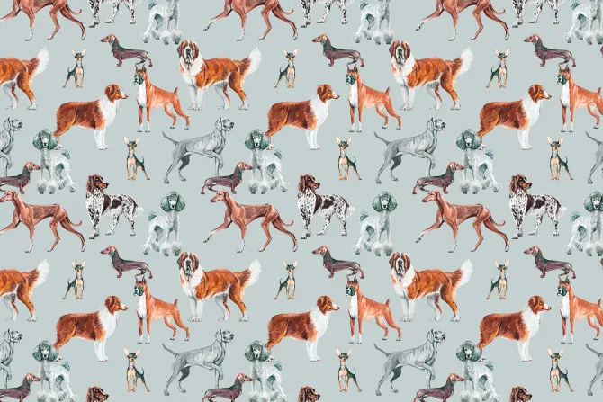 Fototapeta: Różne rasy psów ilustracja w stylu akwareli