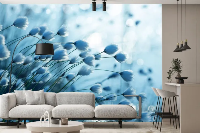 Fototapeta: Roślina bawełna w odcieniu niebieskim