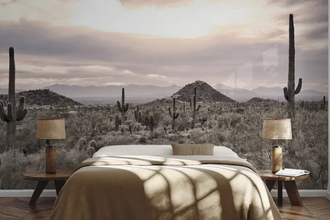 Fototapeta: Roślinna pustynia z kaktusami i skałami