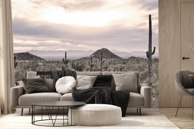 Fototapeta: Roślinna pustynia z kaktusami i skałami