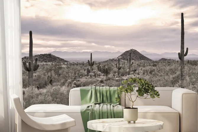 Fototapeta: Roślinna pustynia z kaktusami i skałami