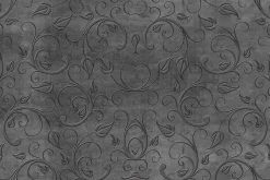 Fototapeta: Roślinna tekstura w szarości