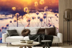 Fototapeta: Rośliny i kwiaty polne o zachodzie słońca krajobraz