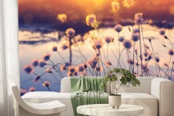 Fototapeta: Rośliny i kwiaty polne o zachodzie słońca krajobraz