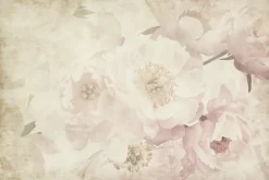Fototapeta: Romantyczne piwonie w stylu retro