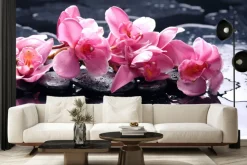 Fototapeta: Różowa orchidea ma tafli wody