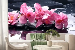 Fototapeta: Różowa orchidea ma tafli wody