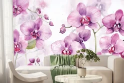 Fototapeta: Różowe storczyki z odbiciem cienia
