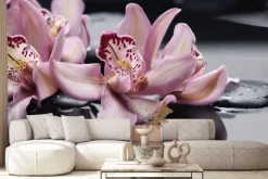 Fototapeta: Różowe storczyki na wodzie