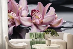 Fototapeta: Różowe storczyki na wodzie