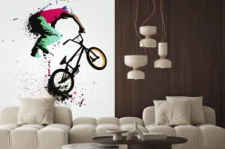 Fototapeta: Rowerzysta na bmx w ilustrowanym stylu