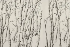 Fototapeta: Rysunek drzew lasu brzozowego