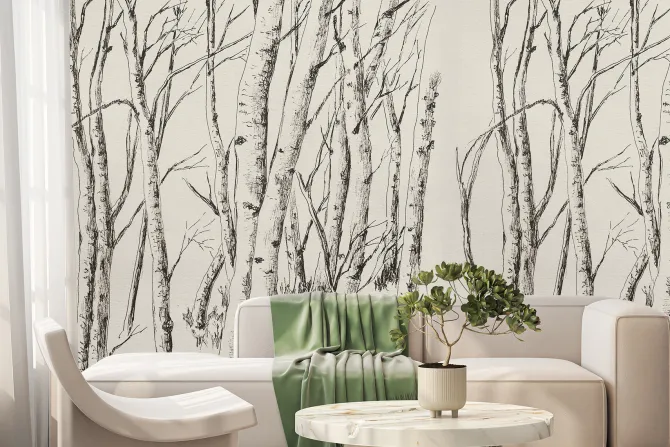 Fototapeta: Rysunek drzew lasu brzozowego