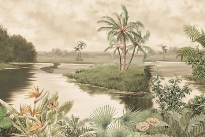 Fototapeta: Rzeka w tropikach egzotyczne rośliny natura