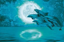 Fototapeta: Skaczące delfiny przy pełni księżyca