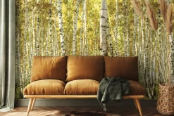 Fototapeta: Słoneczny krajobraz brzozowego gaju