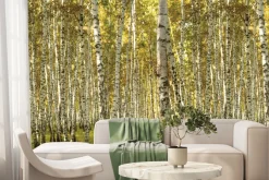 Fototapeta: Słoneczny krajobraz brzozowego gaju