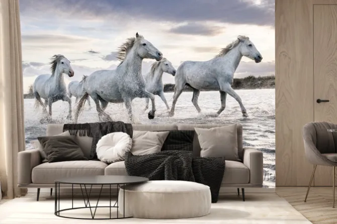 Fototapeta: Stado białych koni biegnące przez wodę