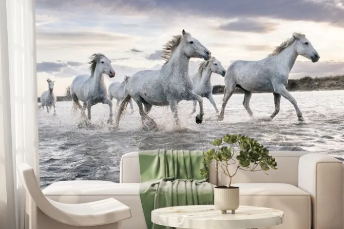 Fototapeta: Stado białych koni biegnące przez wodę