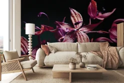 Fototapeta: Storczyk w kolorach różu i fioletu