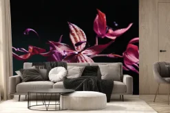 Fototapeta: Storczyk w kolorach różu i fioletu