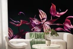 Fototapeta: Storczyk w kolorach różu i fioletu
