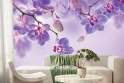 Fototapeta: Storczyki fioletowe zwisające z góry