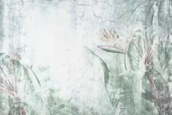 Fototapeta: Strelicja tropikalne rośliny na tle betonu styl loft