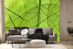 Fototapeta: Struktura liścia w powiększeniu