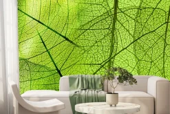 Fototapeta: Struktura liścia w powiększeniu