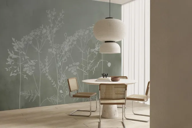 Fototapeta: Subtelne białe trawy na zielonym tle