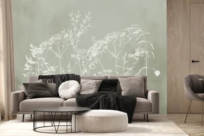 Fototapeta: Subtelne białe trawy na zielonym tle