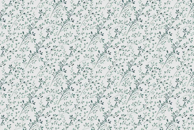 Fototapeta: Subtelne zielone gałązki z liśćmi