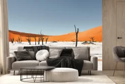 Fototapeta: Suche drzewa na piaszczystej pustyni