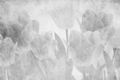 Fototapeta: Szara aranżacja tulipanów na betonie