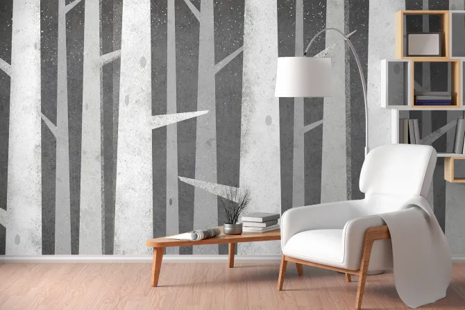 Fototapeta: Szare pnie brzozy z kolczastymi gałęziami