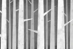Fototapeta: Szare pnie brzozy z kolczastymi gałęziami