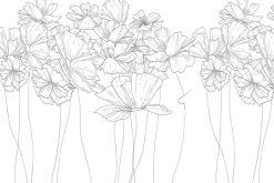 Fototapeta: Szkicowane dzikie kwiaty na białym tle