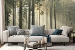 Fototapeta: Szron w jesiennym lesie