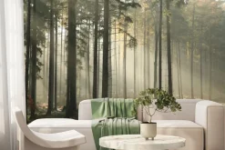 Fototapeta: Szron w jesiennym lesie