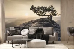 Fototapeta: Szwajcaria saksońska - stare drzewa sosnowego o świcie