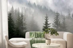 Fototapeta: Tajemniczy las sosnowy we mgle