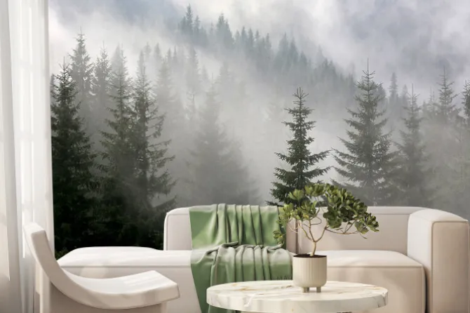 Fototapeta: Tajemniczy las sosnowy we mgle
