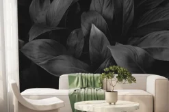 Fototapeta: Textures of natural abstract black leaves for tropical leaf background,