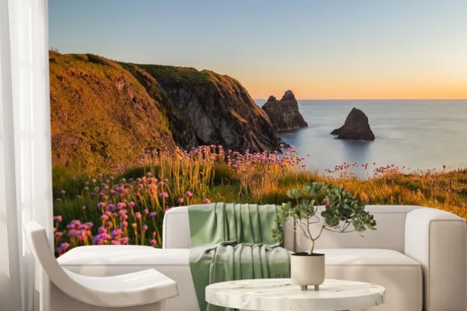 Fototapeta: The coast of ceibwr in pembrokeshire, wales with pink sea thrift