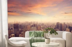 Fototapeta: Tokyo skyline