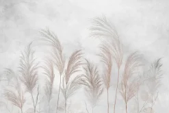 Fototapeta: Trawy i liście eukaliptusa