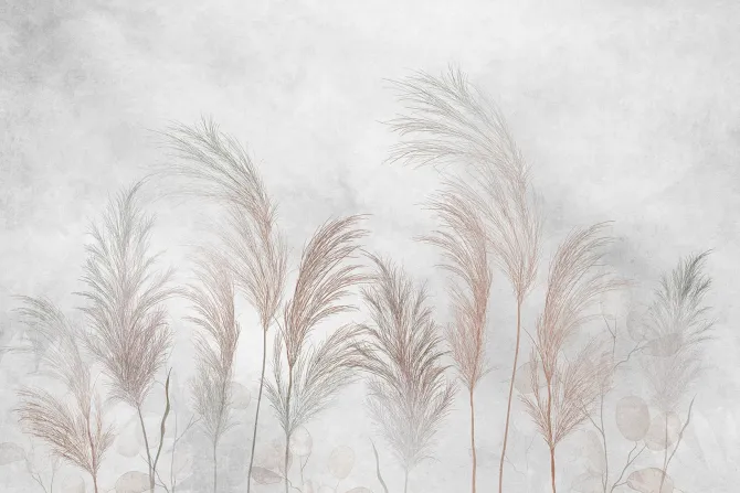 Fototapeta: Trawy i liście eukaliptusa