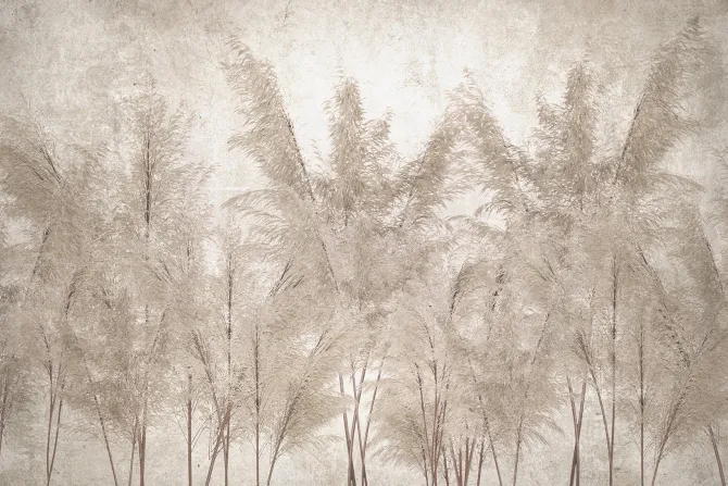 Fototapeta: Trawy ozdobne w odcieniach beżu elegancki motyw inspirowany naturą