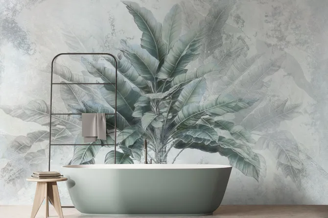 Fototapeta: Tropikalne drzewo bananowiec zielone liście